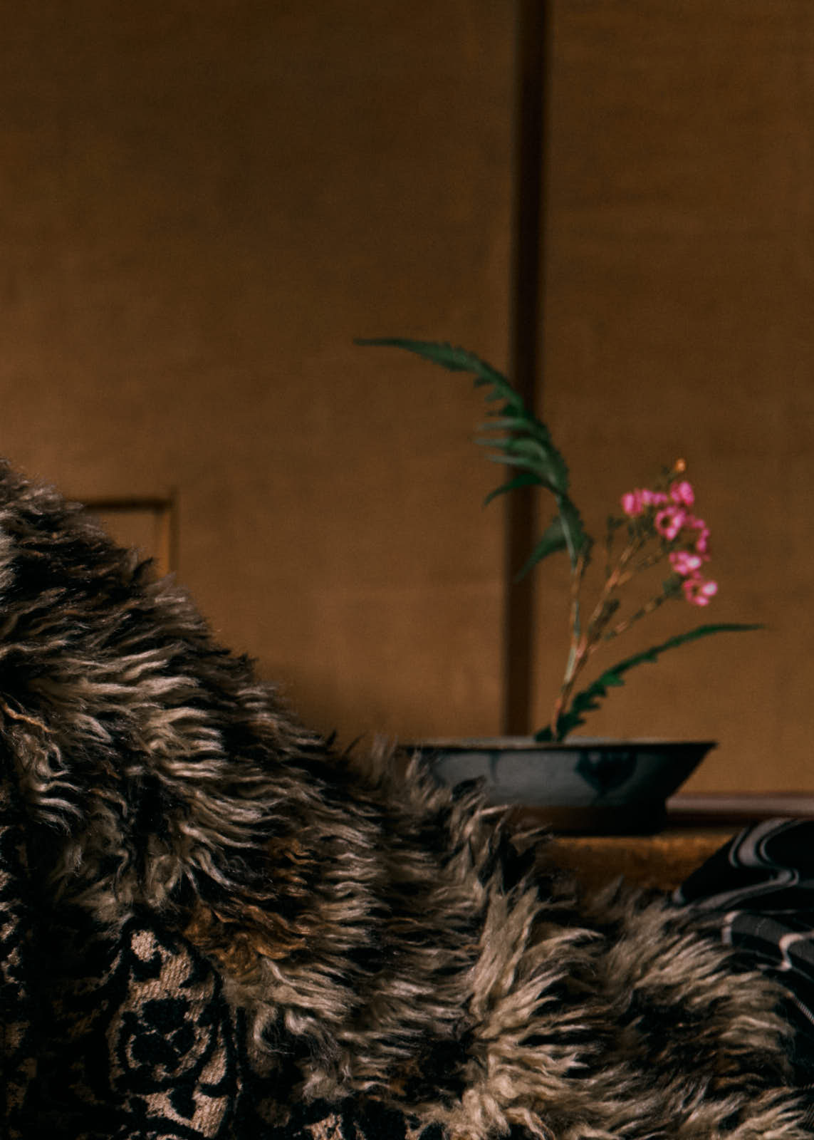 CHARINYEH 2025AW Homesickness fashion collection image for Autumn Sale-17